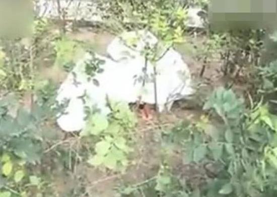 女子当街产子将婴儿丢花丛 后与男子骑车离开