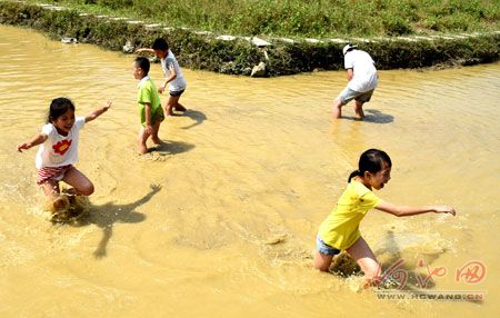 环江瑞良徒手抓鱼乐趣多