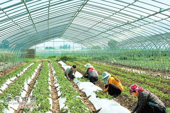 刘盐八库区地质灾害综合治理项目农业工程正式