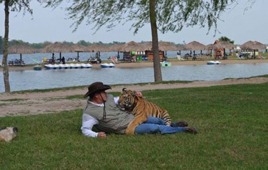 美城市毗邻墨贩毒城市成罪恶都市之首(高清