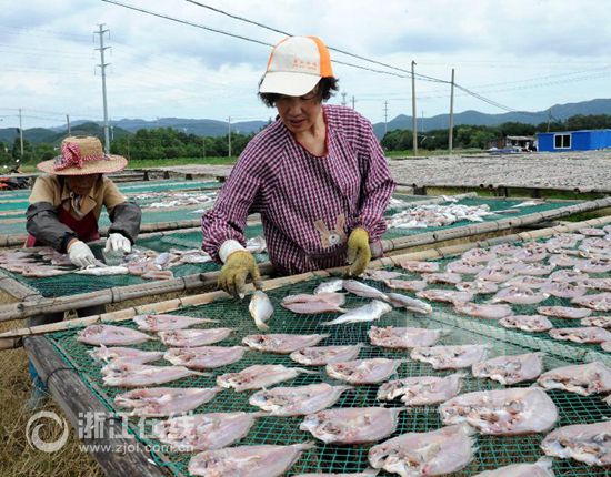 冷空气拍马赶到 10月10日浙江最低气温跌破1