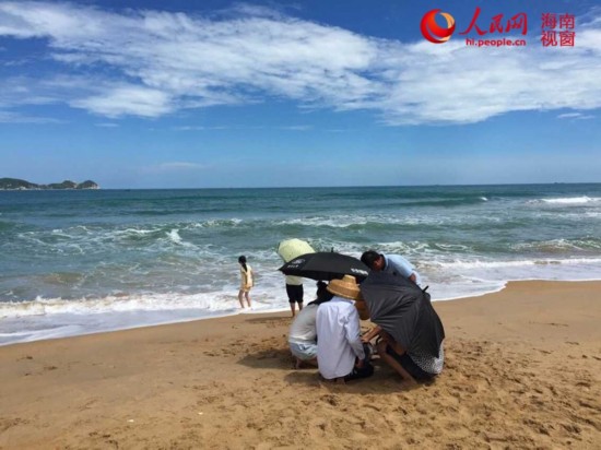 海南萬寧村民自發救助岸邊擱淺海豚