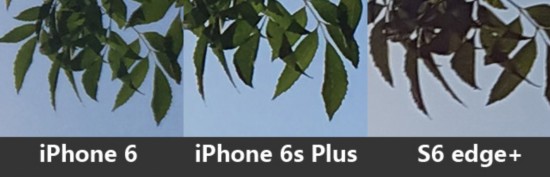 iPhone6/6s Plus/S6 edge+նԱ 