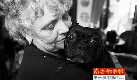 夫妇养41条狗一年花费约29万 每天要铲120坨