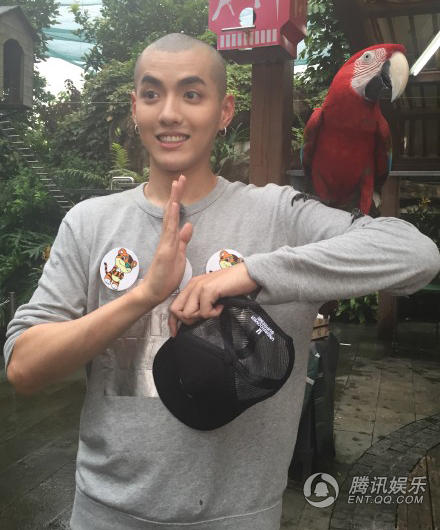 十月十日卖萌日 吴亦凡杨洋盘点哪个明星最会