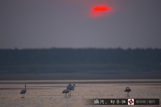 视觉盛宴:秋天的魔幻衣橱