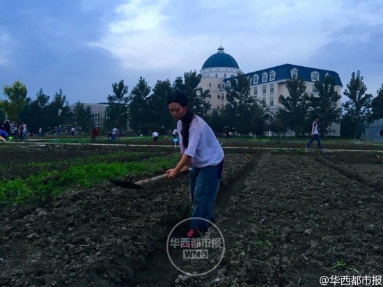 四川大学锦城学院开种田劳动必修课 学生夜间