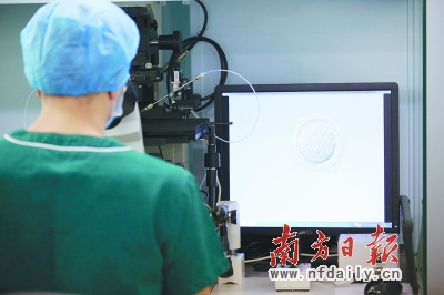 港大深圳醫院推出“試管嬰兒”服務