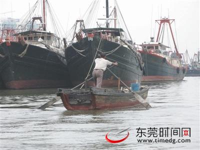 东莞计划安排1亿元进行渔船更新改造