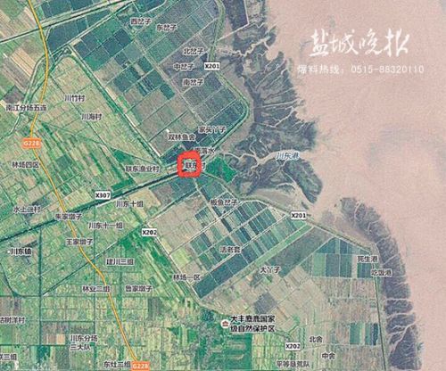 盐城32头麋鹿农田迷路被困 民警成功救援