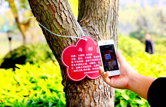 淮安市区千棵树木挂上二维码身份证