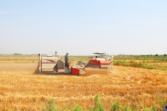 肥东县以农业产业化为主抓手 打造农业经济升