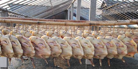 2015海博会之特色东莞