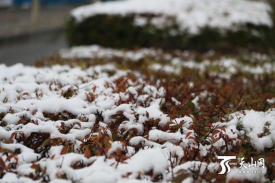 乌鲁木齐降雨降雪又降温 逐渐开启冬季模式