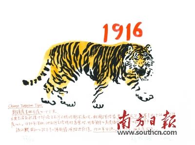 ïԴ滭