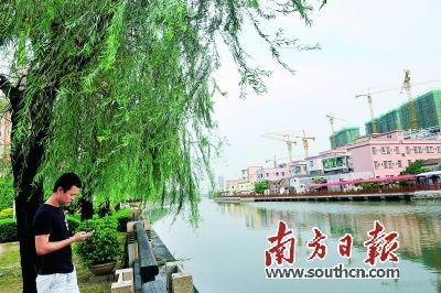 港口镇木河迳河涌水生态综合整治工程效果凸显