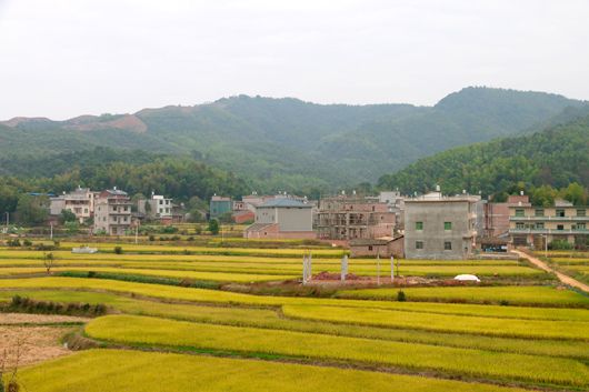 余干特色精准扶贫托起贫困群众小康梦