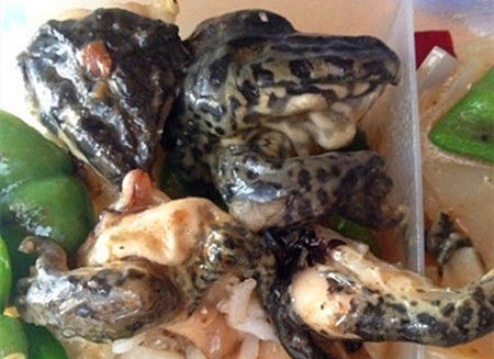 上海財經大學：椒鹽香脆小餛飩