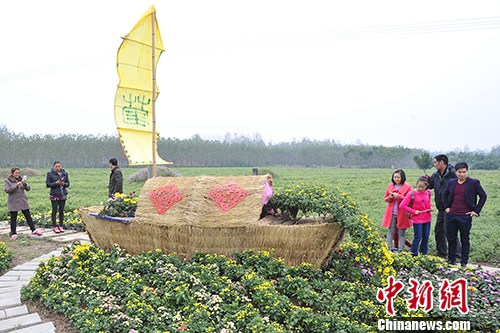 湖北长寿村农民自办菊花节传承福寿文化