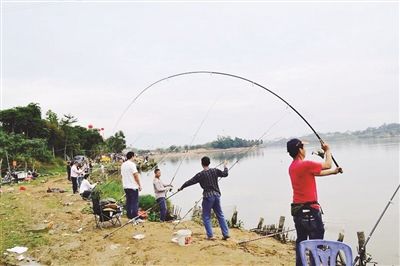 漳州第二届抛竿钓鱼赛开竿 石亭摩托车修理工