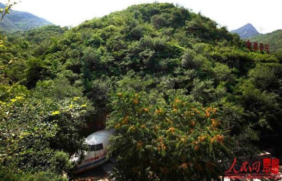 林彪秘密基地变身酒吧 神秘奢华内景首曝光--深