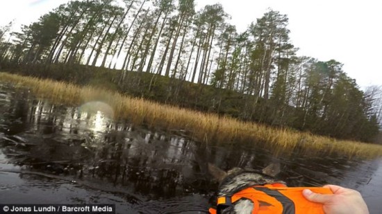 The pair waded through icy-cold water and Lundh had to move sheets of ice out of the way so they could make it to shore