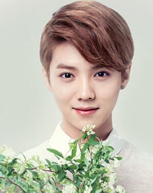 鹿晗原名叫刘壮实吗 隐婚生子老婆是谁