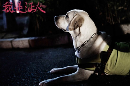 人》曝花絮版MV 鹿晗清亮开嗓献唱《虫儿飞》