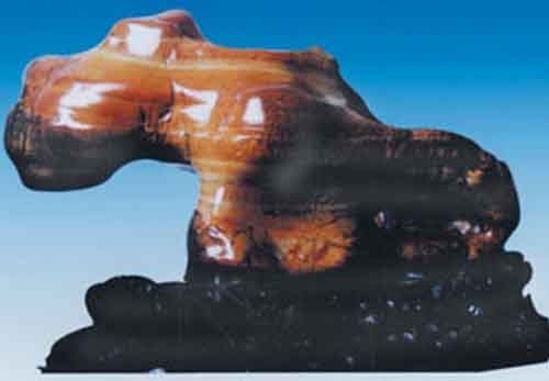 捡块石头价值一亿酷似人类的生殖器 盘点天下