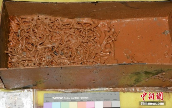 中国发现迄今保存最完整西汉列侯墓园(图)