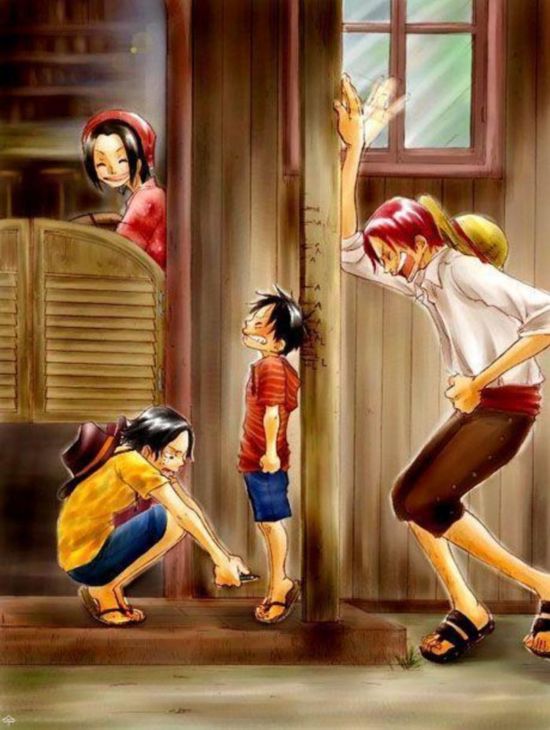 海贼王漫画806话:维奥莱特惊现象岛水貂族 海贼女帝罗宾禁图