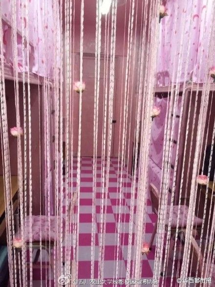 四川高校惊现少女粉色系男生宿舍