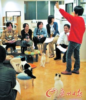 亚洲父母为儿女婚事操碎心 印度父母逼女儿成