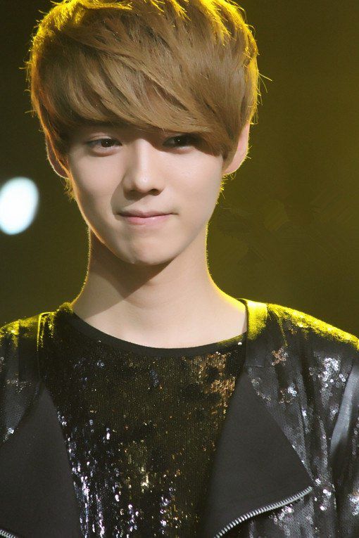 ¹ϣLU HAN1990420ճڱк淢չйи֡Ա