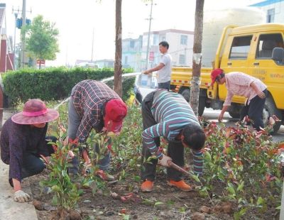 海安墩头镇投资20万余元开展绿化 打造卫生镇