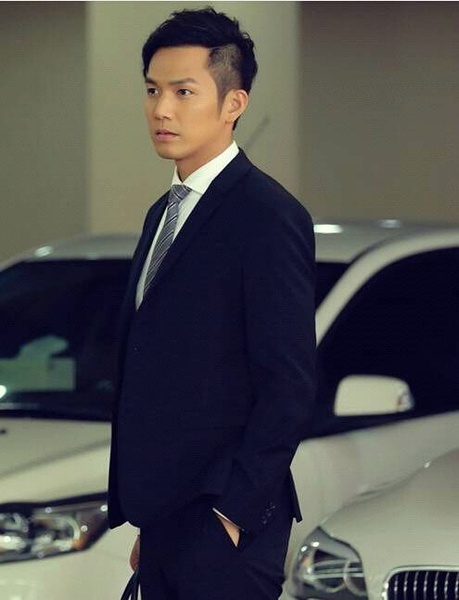 赵丽颖刘涛霍建华胡歌 2015年大热剧的帅哥美