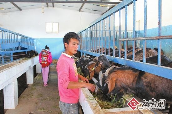 武定人口2020_武定狮子山图片