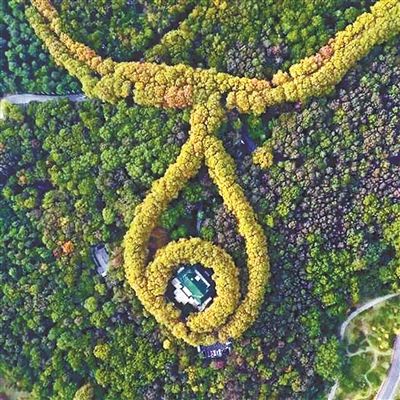 成排的法桐围成项圈,位于南京市玄武区的美龄宫犹如一颗镶嵌在项链
