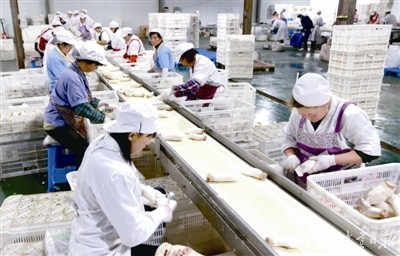 盐城大丰一公司杏鲍菇热销 已实现销售1亿多元