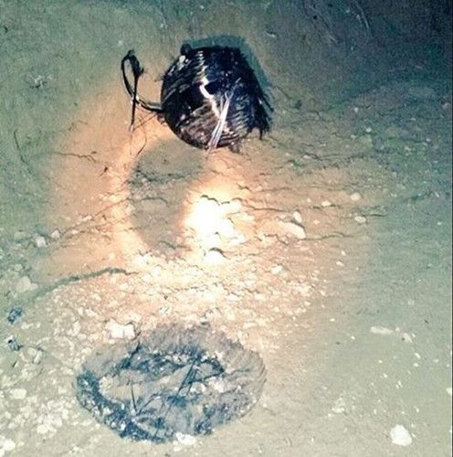 西班牙再次天降神秘黑球引发当地居民恐慌(图)