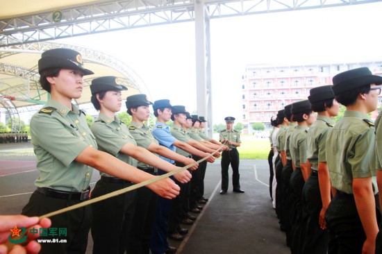 新训神器走俏训练场