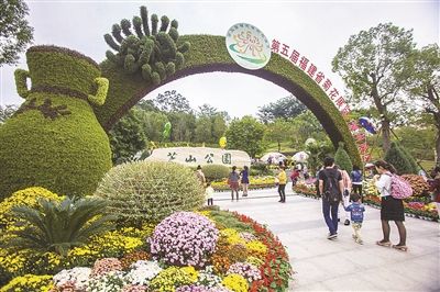 8万盆菊花在漳州芝山公园等你来赏--福建频道--人民网
