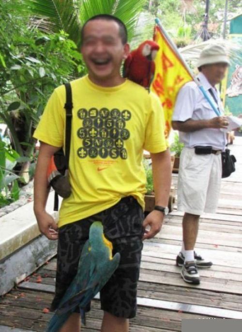 表演狮子冲出笼子 盘点近几年动物伤人事件(组