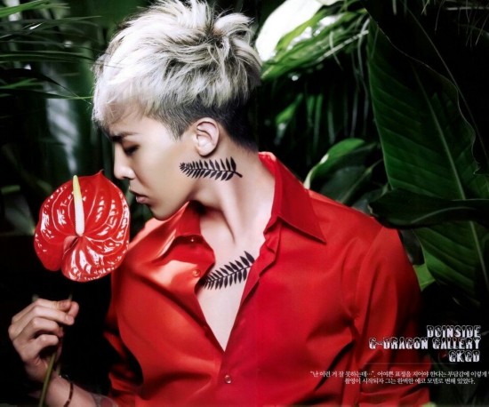 vs?dZexo@Kai Pmio½ѡiչϡj