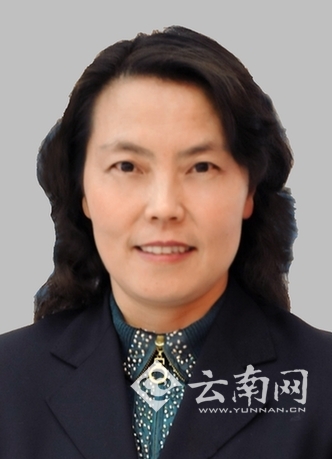 历任省纪委干部培训中心副主任,马龙县委副书记,书记,云南世博集团