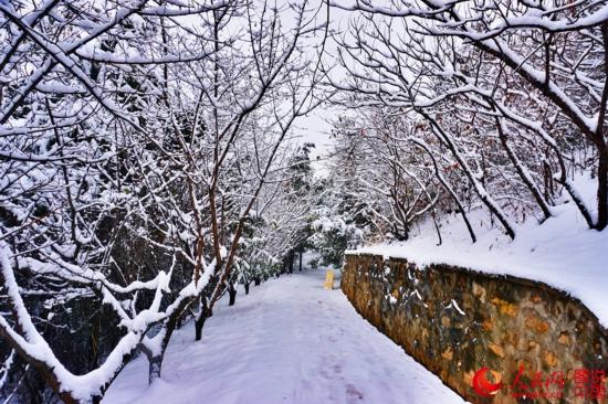 北京迎大雪天 红螺寺白雪皑皑如童话世界