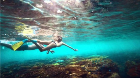 斐济潜水