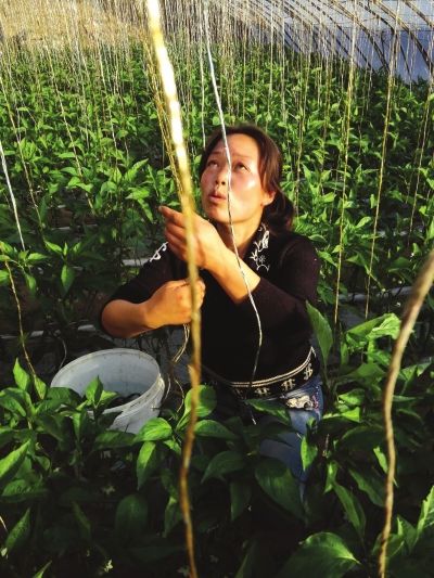 中国最美休闲乡村的美丽女人们