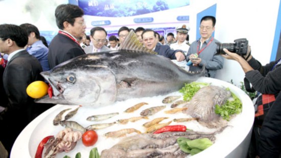 湛江海鲜生意_湛江海鲜_生意十字绣套件图片(2)