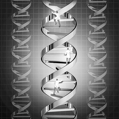 人类基因编辑国际峰会聚焦伦理争议